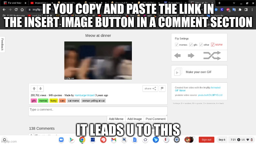 its true | IF YOU COPY AND PASTE THE LINK IN THE INSERT IMAGE BUTTON IN A COMMENT SECTION; IT LEADS U TO THIS | image tagged in why are you reading this | made w/ Imgflip meme maker