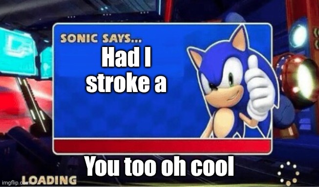 Sonic Says | Had I stroke a; You too oh cool | image tagged in sonic says | made w/ Imgflip meme maker