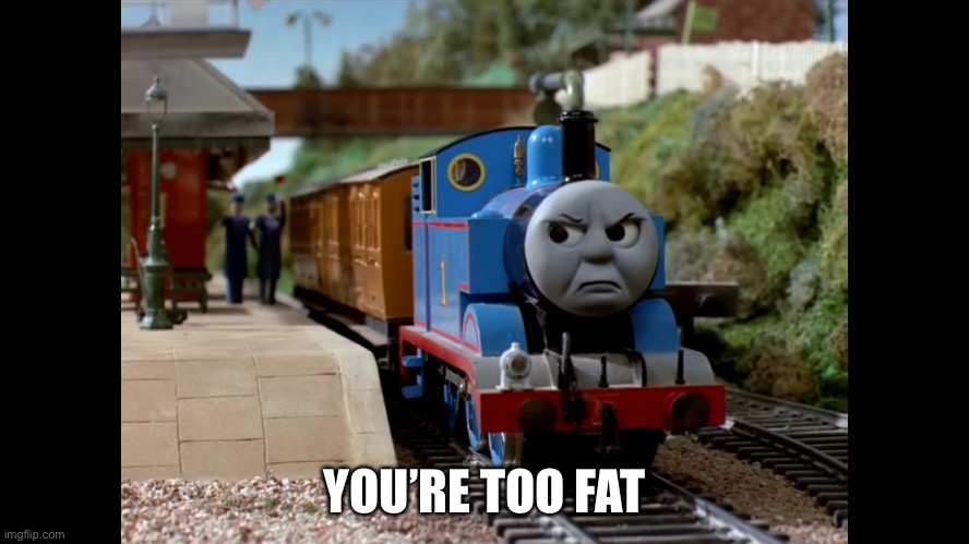 you're too fat | YOU’RE TOO FAT | image tagged in you're too fat | made w/ Imgflip meme maker