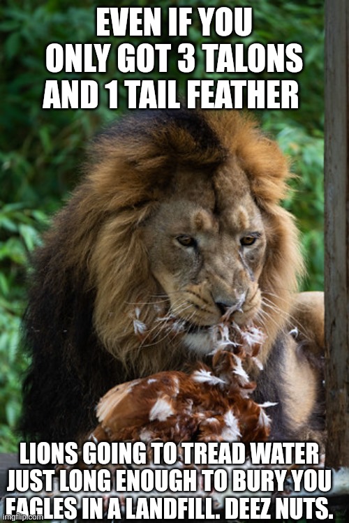 EVEN IF YOU ONLY GOT 3 TALONS AND 1 TAIL FEATHER; LIONS GOING TO TREAD WATER JUST LONG ENOUGH TO BURY YOU EAGLES IN A LANDFILL. DEEZ NUTS. | image tagged in detroitlions | made w/ Imgflip meme maker