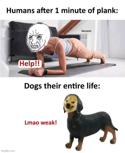 Doggo too stronk | image tagged in dogs,humans,exercise,workout | made w/ Imgflip meme maker