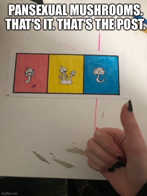 PANSEXUAL MUSHROOMS.
THAT'S IT. THAT'S THE POST. | made w/ Imgflip meme maker