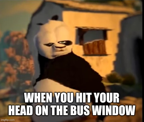 Po wut | WHEN YOU HIT YOUR HEAD ON THE BUS WINDOW | image tagged in po wut | made w/ Imgflip meme maker