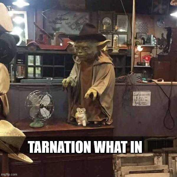 TARNATION WHAT IN | image tagged in starwars | made w/ Imgflip meme maker