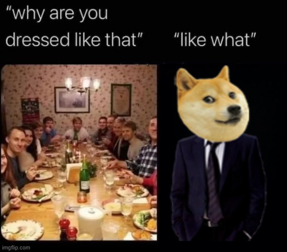 why are you dressed like that | image tagged in why are you dressed like that | made w/ Imgflip meme maker