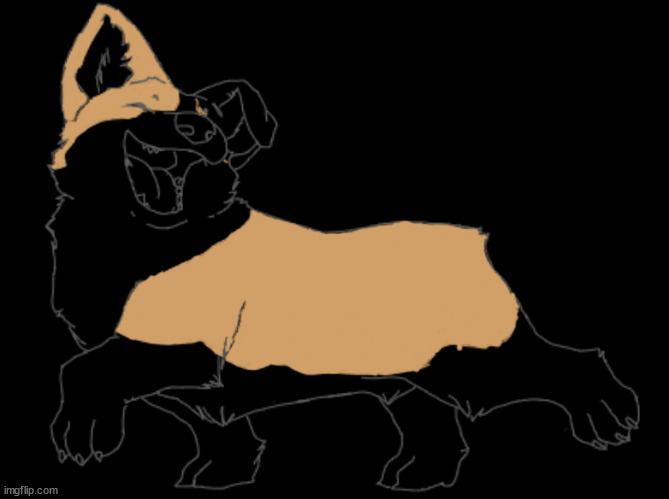 My drawing of a corgi so far | made w/ Imgflip meme maker