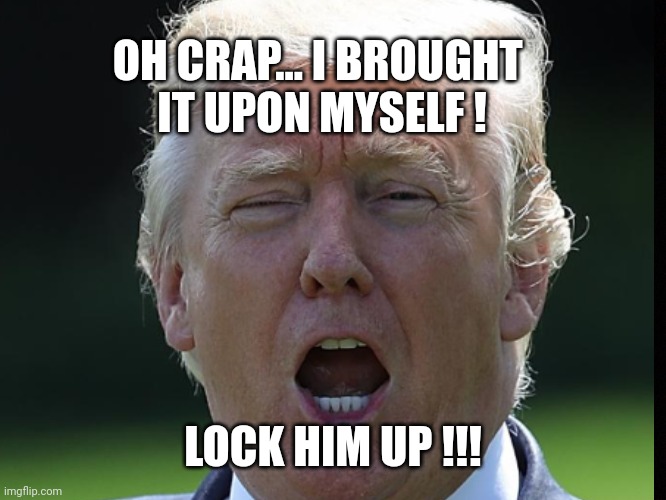 I Brought it Upon Myself !!! | OH CRAP... I BROUGHT 
IT UPON MYSELF ! LOCK HIM UP !!! | image tagged in donald trump,anti trump meme,lock him up,political meme,oh no i have done it again,oh no | made w/ Imgflip meme maker