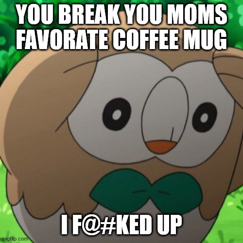 Rowlet Meme Template | YOU BREAK YOU MOMS FAVORATE COFFEE MUG; I F@#KED UP | image tagged in rowlet meme template | made w/ Imgflip meme maker