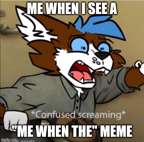 adhhsurhddh | ME WHEN I SEE A; "ME WHEN THE" MEME | image tagged in confused furry screaming | made w/ Imgflip meme maker