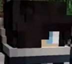Aphmau MCD Zane Blank Meme Template