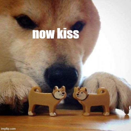 dog now kiss  | now kiss | image tagged in dog now kiss | made w/ Imgflip meme maker