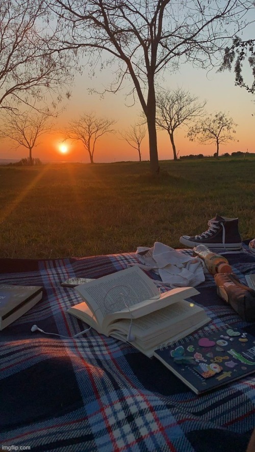 enjoying the sunset | image tagged in awesome | made w/ Imgflip meme maker