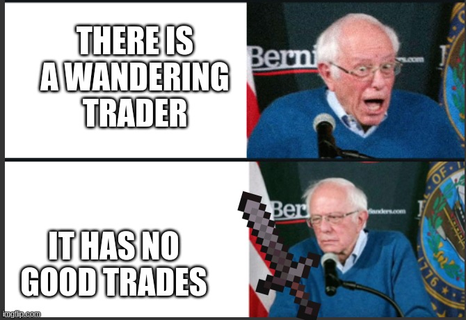 kill | THERE IS A WANDERING TRADER; IT HAS NO GOOD TRADES | image tagged in bernie react good bad | made w/ Imgflip meme maker