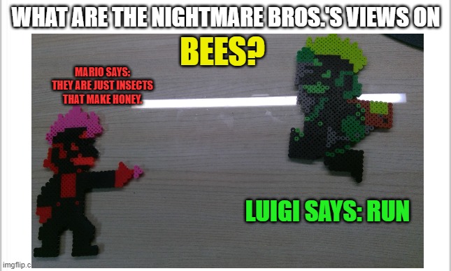 Nightmare Bros. | WHAT ARE THE NIGHTMARE BROS.'S VIEWS ON; BEES? MARIO SAYS: THEY ARE JUST INSECTS THAT MAKE HONEY. LUIGI SAYS: RUN | image tagged in nightmare,mario,luigi,fnf,mario bros views,friday night funkin | made w/ Imgflip meme maker