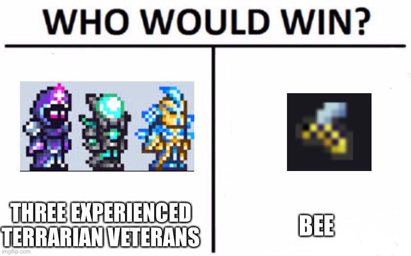 Terraria moment | THREE EXPERIENCED TERRARIAN VETERANS; BEE | image tagged in memes,who would win | made w/ Imgflip meme maker