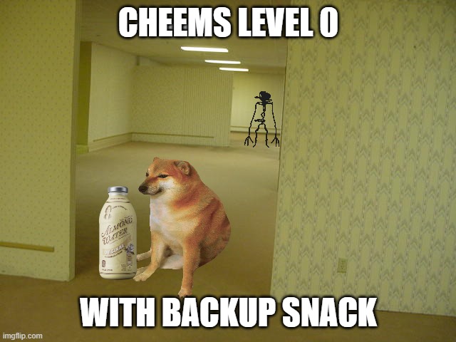 backrooms level 0 cheems | CHEEMS LEVEL 0; WITH BACKUP SNACK | image tagged in the backrooms | made w/ Imgflip meme maker