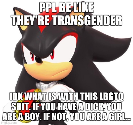 Shadow The Hedgehog | PPL BE LIKE THEY'RE TRANSGENDER; IDK WHAT IS WITH THIS LBGTQ SHIT. IF YOU HAVE A DICK, YOU ARE A BOY. IF NOT, YOU ARE A GIRL... | image tagged in shadow the hedgehog | made w/ Imgflip meme maker