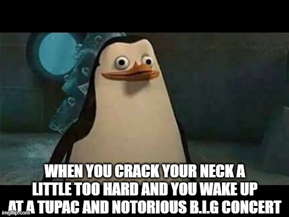 Confused penguin | WHEN YOU CRACK YOUR NECK A LITTLE TOO HARD AND YOU WAKE UP AT A TUPAC AND NOTORIOUS B.I.G CONCERT | image tagged in confused penguin | made w/ Imgflip meme maker