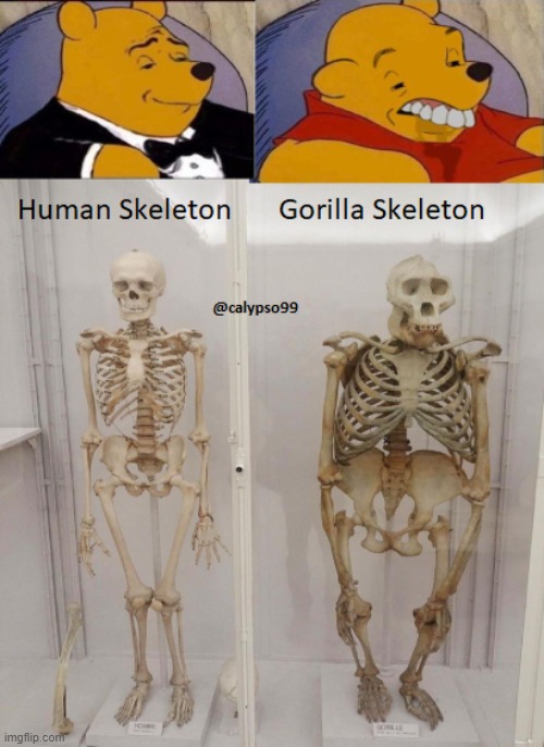 pooh vs skeleton | image tagged in winnie the pooh | made w/ Imgflip meme maker