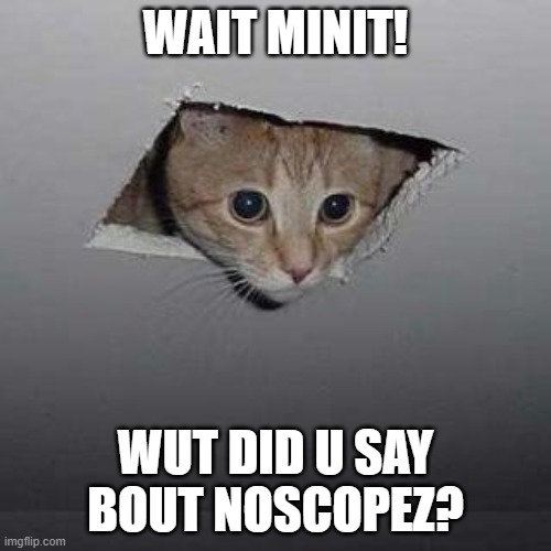 Spying on cs:go forum | WAIT MINIT! WUT DID U SAY BOUT NOSCOPEZ? | image tagged in memes,ceiling cat | made w/ Imgflip meme maker