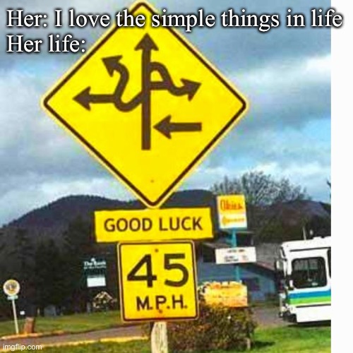 Simple life | Her: I love the simple things in life
Her life: | image tagged in road sign,simple,tangled | made w/ Imgflip meme maker