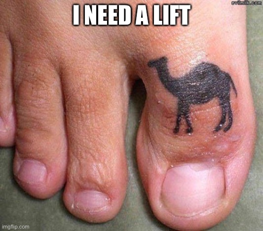 Hump day | I NEED A LIFT | image tagged in camel toe | made w/ Imgflip meme maker