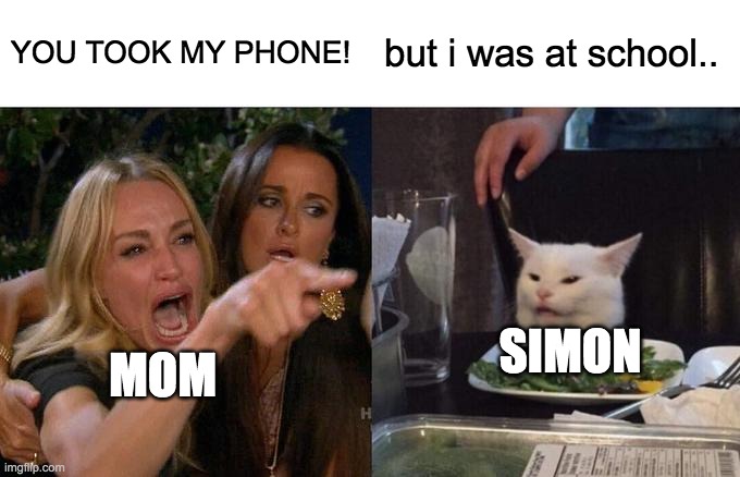 how moms react when they lose their phones. | YOU TOOK MY PHONE! but i was at school.. SIMON; MOM | image tagged in memes,woman yelling at cat | made w/ Imgflip meme maker