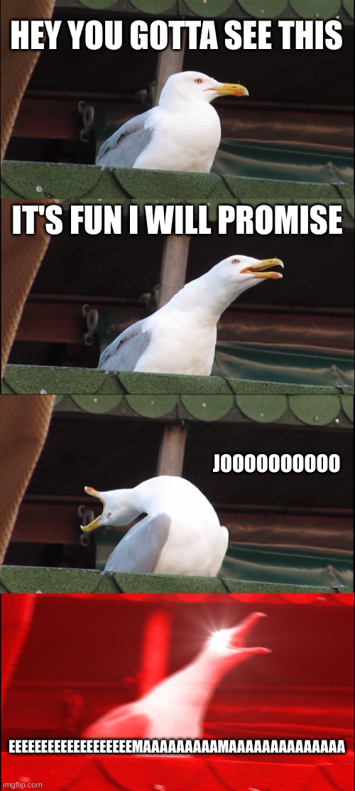 So fun? | HEY YOU GOTTA SEE THIS; IT'S FUN I WILL PROMISE; JOOOOOOOOOO; EEEEEEEEEEEEEEEEEEEMAAAAAAAAAMAAAAAAAAAAAAAA | image tagged in memes,inhaling seagull | made w/ Imgflip meme maker