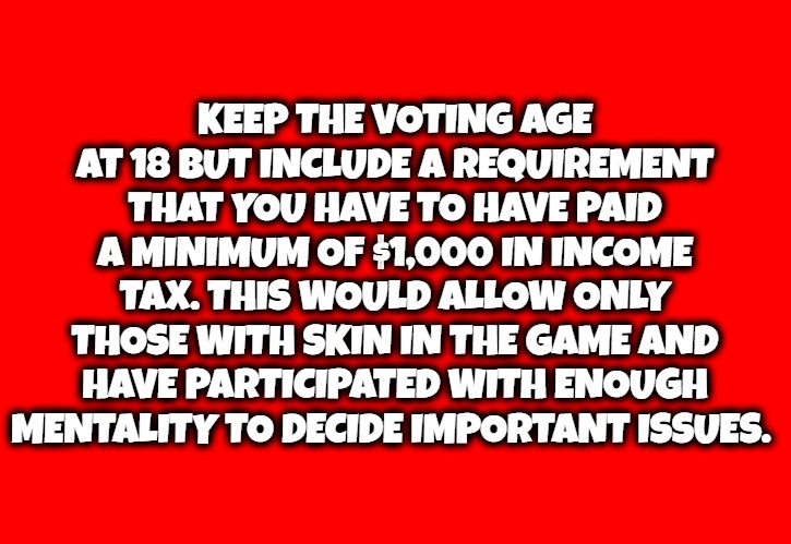 Voting Requirements: Never Go Full Retard | KEEP THE VOTING AGE AT 18 BUT INCLUDE A REQUIREMENT THAT YOU HAVE TO HAVE PAID A MINIMUM OF $1,000 IN INCOME TAX. THIS WOULD ALLOW ONLY THOSE WITH SKIN IN THE GAME AND HAVE PARTICIPATED WITH ENOUGH MENTALITY TO DECIDE IMPORTANT ISSUES. | image tagged in morons shouldnt vote,never go full retard,full retard,liberalism is a mental disorder | made w/ Imgflip meme maker