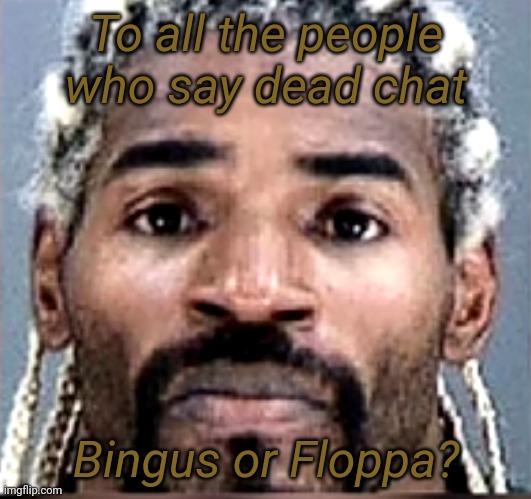 Question | To all the people who say dead chat; Bingus or Floppa? | image tagged in memes,shitpost,question,oh wow are you actually reading these tags,you have been eternally cursed for reading the tags | made w/ Imgflip meme maker