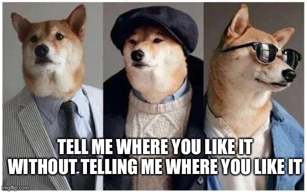 Doggy style | TELL ME WHERE YOU LIKE IT WITHOUT TELLING ME WHERE YOU LIKE IT | image tagged in doggy style | made w/ Imgflip meme maker