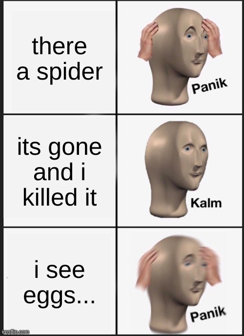 spiders | there a spider; its gone and i killed it; i see eggs... | image tagged in memes,panik kalm panik | made w/ Imgflip meme maker