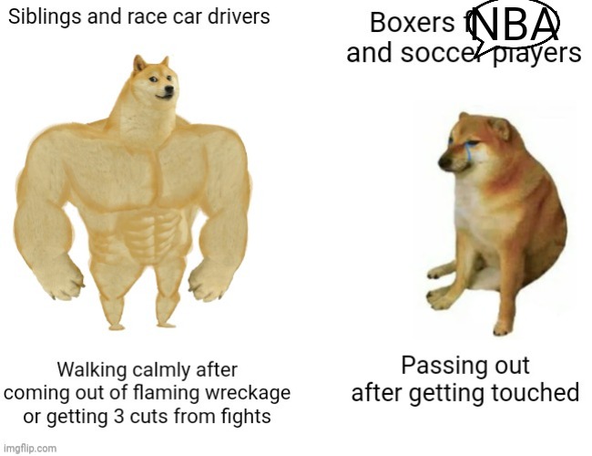 Sport | NBA | image tagged in doge,sibling rivalry,sports | made w/ Imgflip meme maker