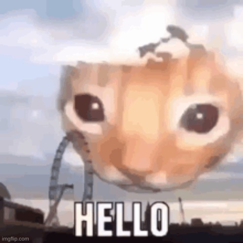 hello | image tagged in hello | made w/ Imgflip meme maker