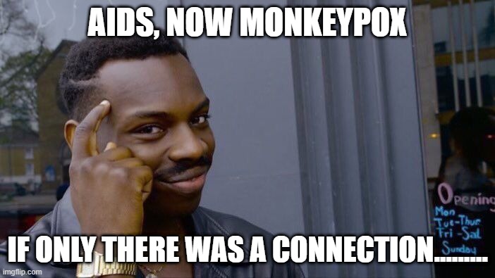 Roll Safe Think About It | AIDS, NOW MONKEYPOX; IF ONLY THERE WAS A CONNECTION......... | image tagged in memes,roll safe think about it | made w/ Imgflip meme maker