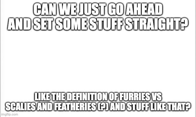 discuss in comments | CAN WE JUST GO AHEAD AND SET SOME STUFF STRAIGHT? LIKE THE DEFINITION OF FURRIES VS SCALIES AND FEATHERIES (?) AND STUFF LIKE THAT? | image tagged in white background | made w/ Imgflip meme maker