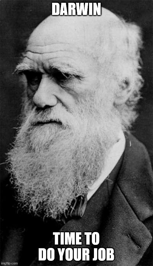 Darwin | DARWIN TIME TO DO YOUR JOB | image tagged in darwin | made w/ Imgflip meme maker