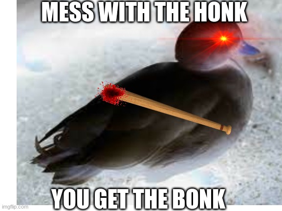 THIS DUCK IS NOT PLAYING AROUND | MESS WITH THE HONK; YOU GET THE BONK | image tagged in ducks,meme | made w/ Imgflip meme maker