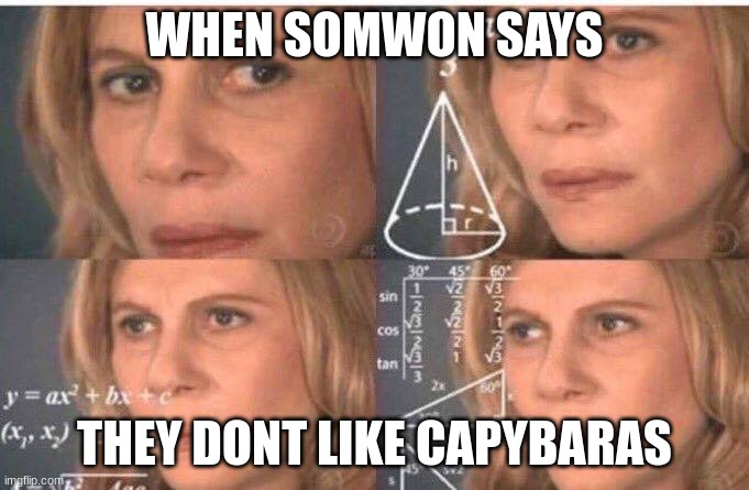 Math lady/Confused lady | WHEN SOMWON SAYS; THEY DONT LIKE CAPYBARAS | image tagged in math lady/confused lady | made w/ Imgflip meme maker