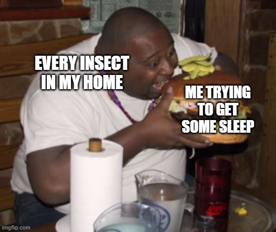 True story, sometimes when I go to sleep I get bitten by bugs | EVERY INSECT IN MY HOME; ME TRYING TO GET SOME SLEEP | image tagged in fat guy eating burger,mosquito,relatable memes,memes | made w/ Imgflip meme maker