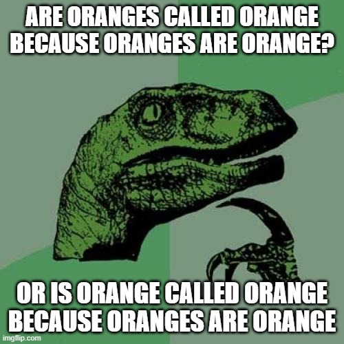 my brain hurts making this | ARE ORANGES CALLED ORANGE BECAUSE ORANGES ARE ORANGE? OR IS ORANGE CALLED ORANGE BECAUSE ORANGES ARE ORANGE | image tagged in memes,philosoraptor | made w/ Imgflip meme maker