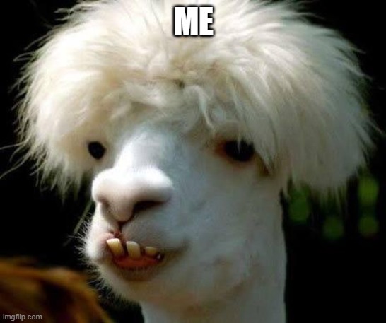 Dumbass | ME | image tagged in dumbass | made w/ Imgflip meme maker