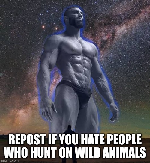 Big gigachad vs small guy | REPOST IF YOU HATE PEOPLE WHO HUNT ON WILD ANIMALS | image tagged in big gigachad vs small guy | made w/ Imgflip meme maker