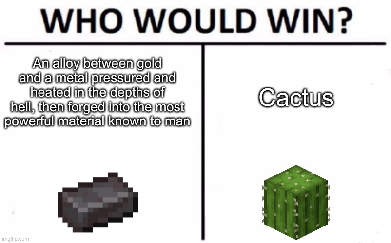 netherite vs cactus | An alloy between gold and a metal pressured and heated in the depths of hell, then forged into the most powerful material known to man; Cactus | image tagged in memes,who would win | made w/ Imgflip meme maker