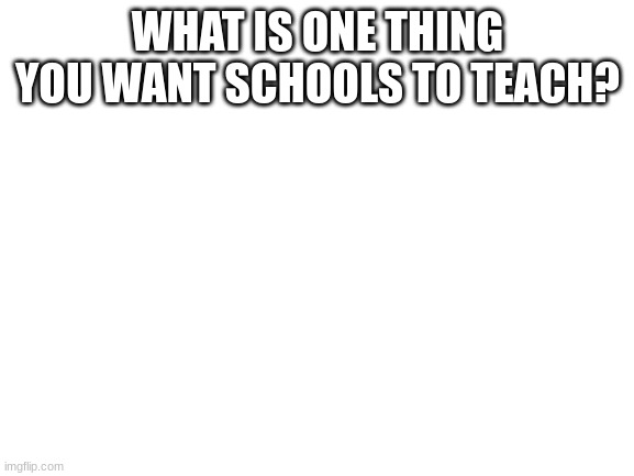 Hmmmm | WHAT IS ONE THING YOU WANT SCHOOLS TO TEACH? | image tagged in blank white template | made w/ Imgflip meme maker