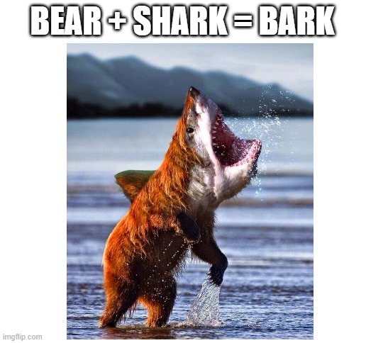Dog |  BEAR + SHARK = BARK | image tagged in dogs,barking | made w/ Imgflip meme maker