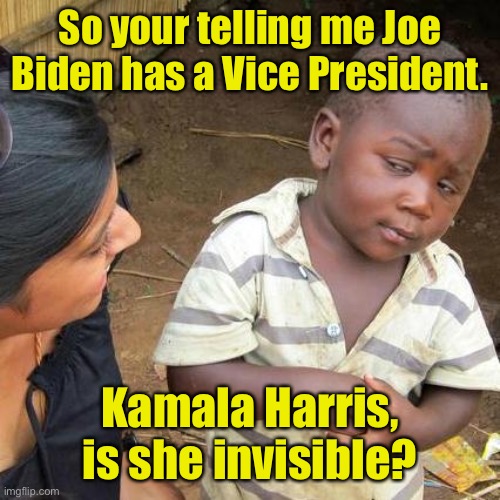 Invisible Vice President | So your telling me Joe Biden has a Vice President. Kamala Harris, is she invisible? | image tagged in memes,third world skeptical kid,invisible,kamala harris,joe biden,politics | made w/ Imgflip meme maker