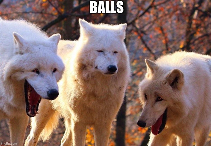 Random sh*tpost | BALLS | image tagged in 2/3 wolves laugh | made w/ Imgflip meme maker