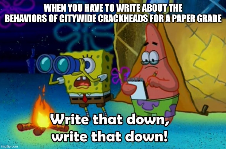 write that down | WHEN YOU HAVE TO WRITE ABOUT THE BEHAVIORS OF CITYWIDE CRACKHEADS FOR A PAPER GRADE | image tagged in write that down | made w/ Imgflip meme maker