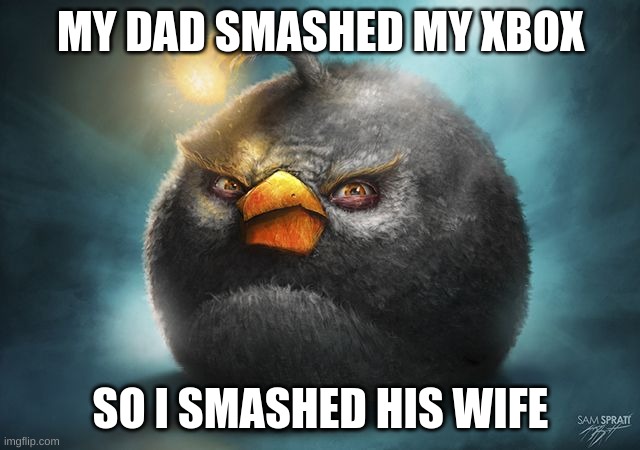 Real | MY DAD SMASHED MY XBOX; SO I SMASHED HIS WIFE | image tagged in angry birds bomb | made w/ Imgflip meme maker